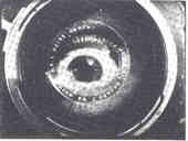 El hombre con la cámara, 1919. Vertov