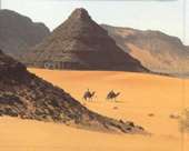 Lawrence de Arabia