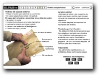 [Click para ver el documento]