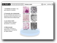 [Click para ver el documento]