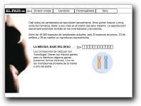 [Click para ver el documento]