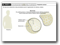 [Click para ver el documento]
