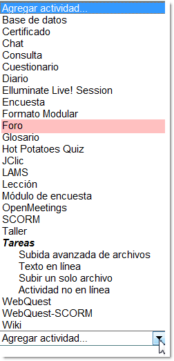 Actividades_foro