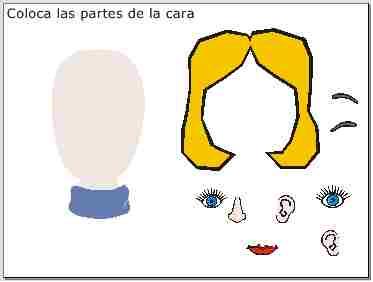 partes de la cara femenina