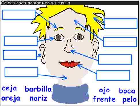 identifica partes de la cara