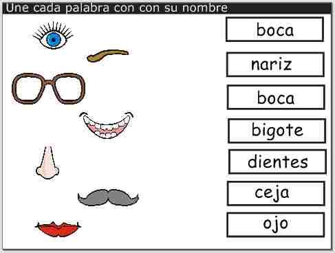 partes de la cara y su nombre