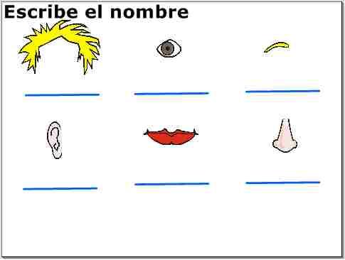 escribir nombres de partes de la cara